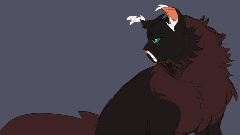 Colored Sketch Halfbody